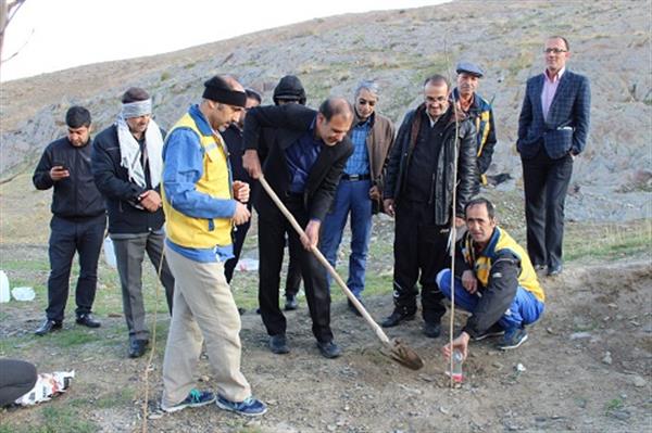 مراسم آبیاری دهها اصل نهال توسط مدیرکل ارتباطات و فناوری اطلاعات و مدیر کل پست استان مرکزی برگزار گردید.