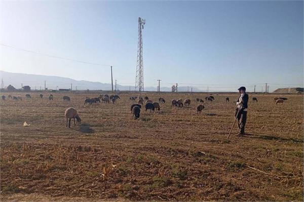 پایش میدانی شبکه ارتباطی روستای آغذی‌گنگ در شهرستان زرندیه انجام شد